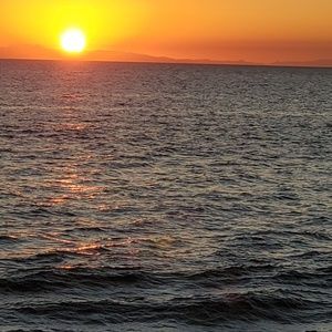 Meet your Posher, Viliane